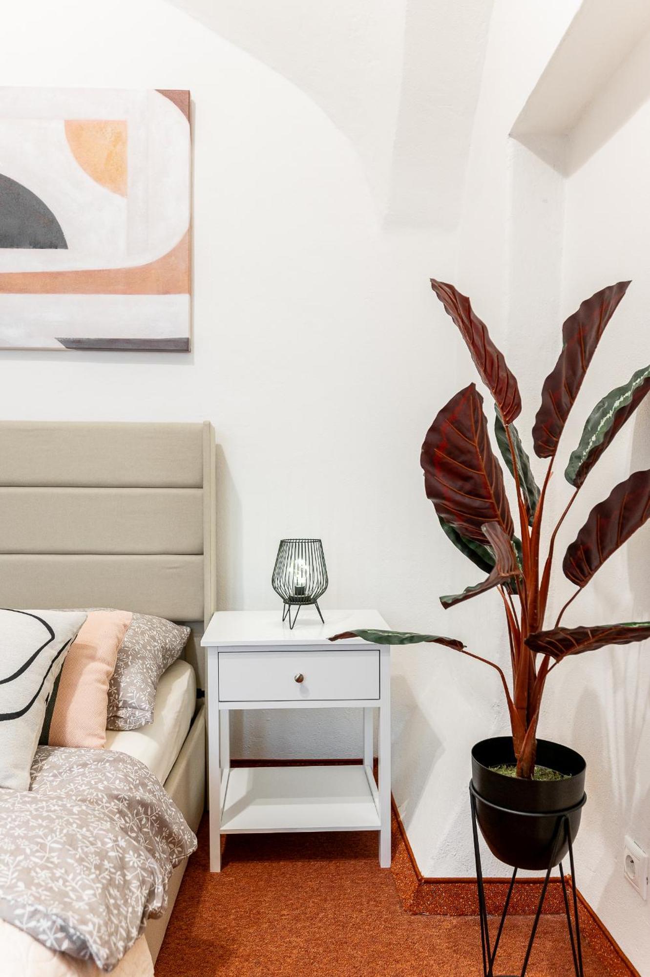 K1 Piatok Sobota Disco Cez Tyzden Tichy Apartman Caşonia Exterior foto